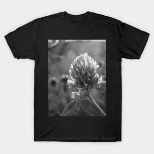 Petals in Sunlight Capture Red Clover's Elegance V4 T-Shirt